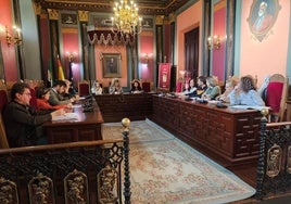 Sesión plenaria celebrada este jueves.