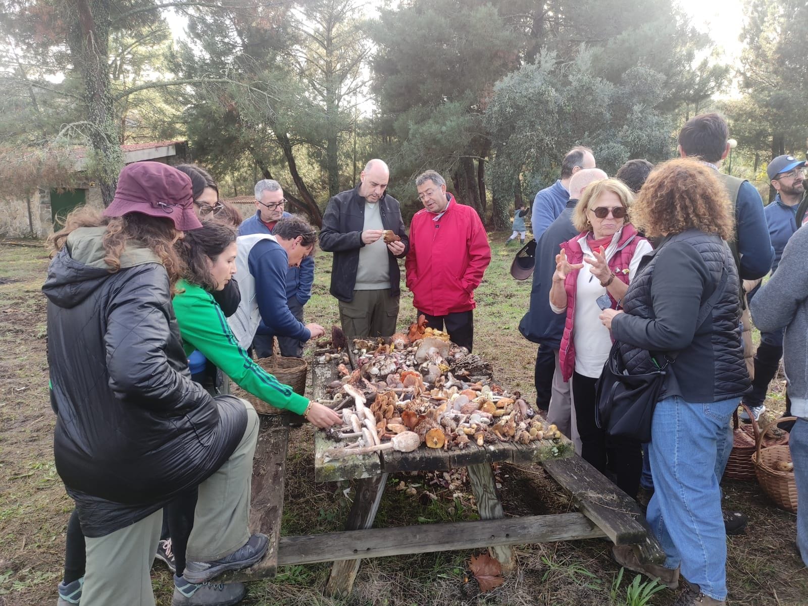 Salida de la Sociedad Micológica de Extremadura en Valencia de Alcántara