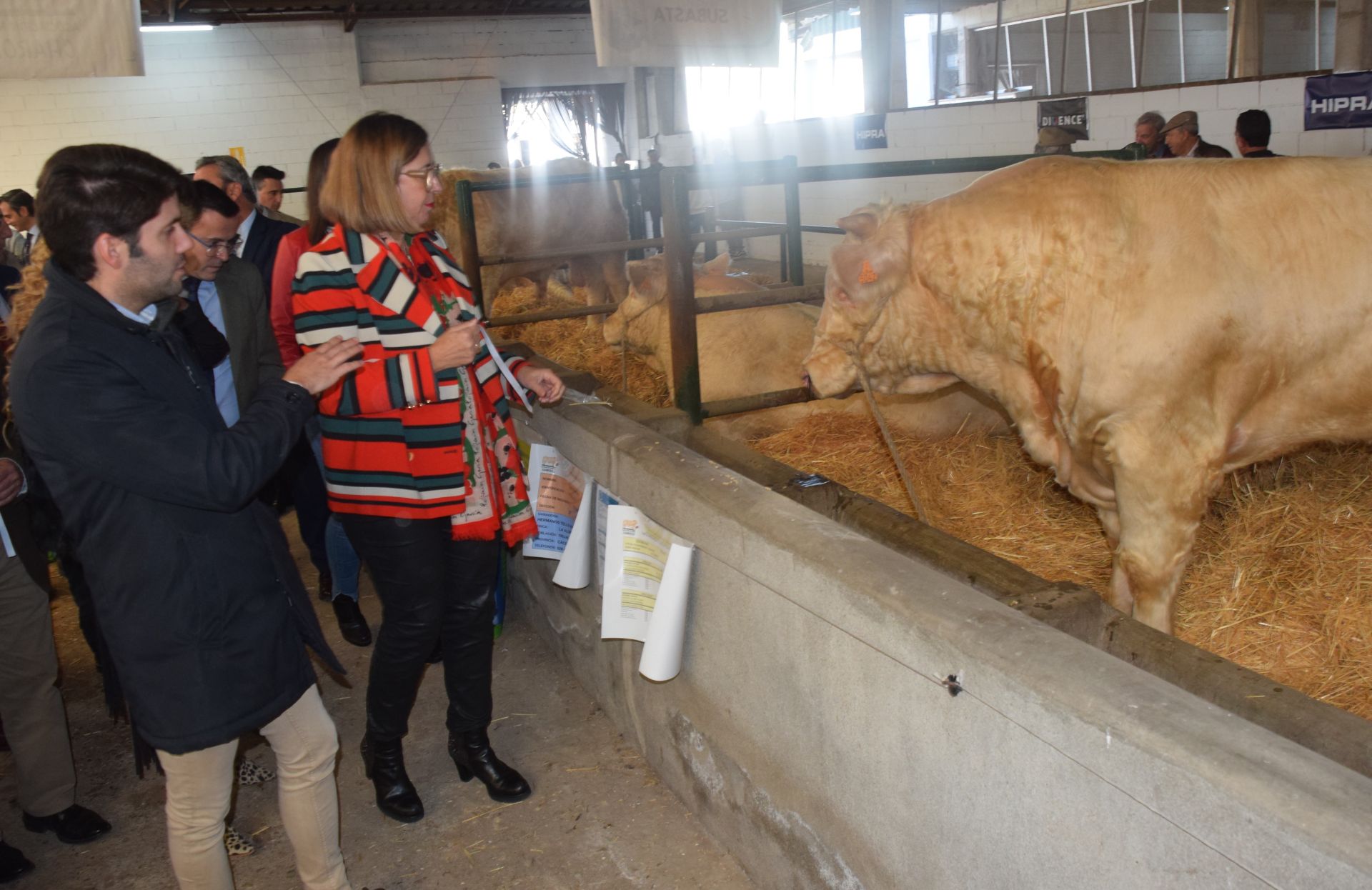 La Feria Agroganadera se celebró a pesar de la lengua azul