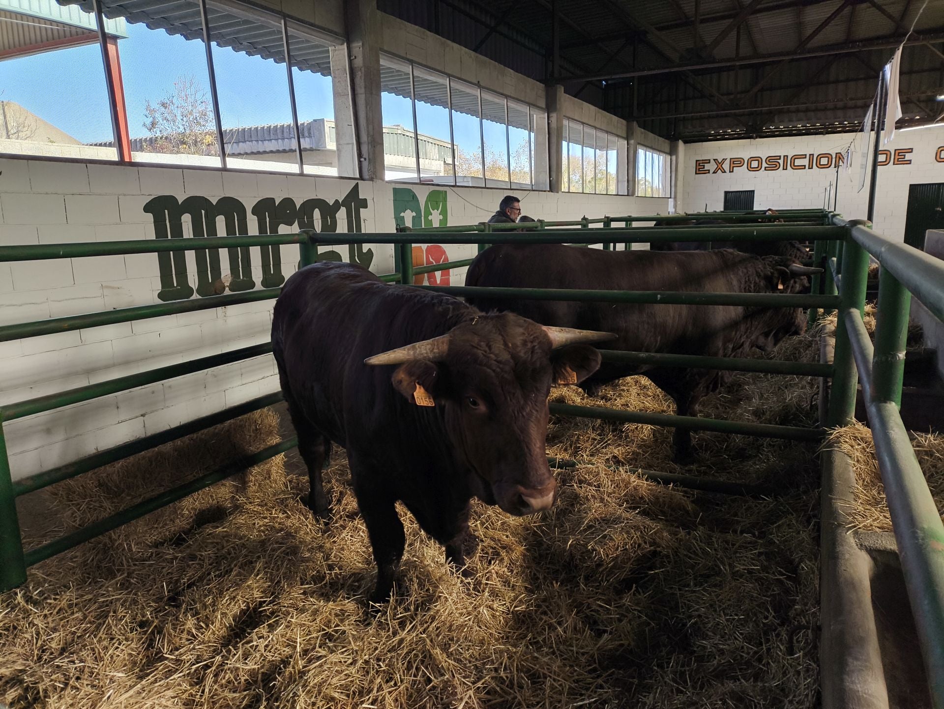 La Feria Agroganadera se celebró a pesar de la lengua azul