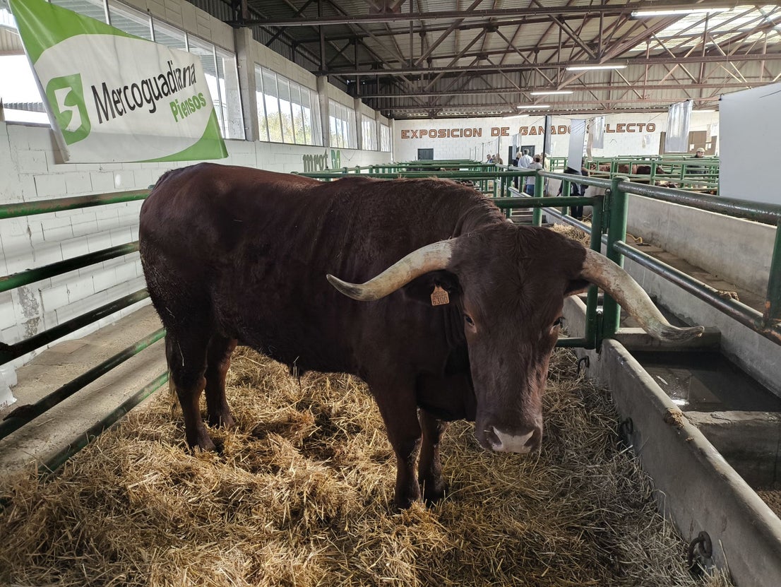La Feria Agroganadera se celebró a pesar de la lengua azul