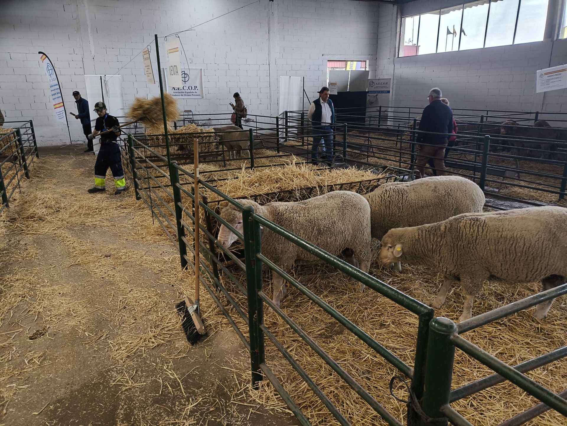 La Feria Agroganadera se celebró a pesar de la lengua azul
