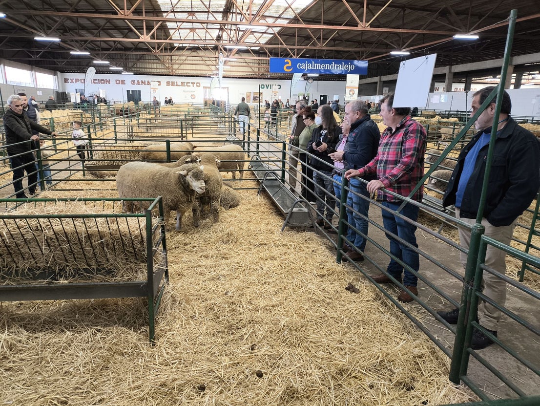 La Feria Agroganadera se celebró a pesar de la lengua azul