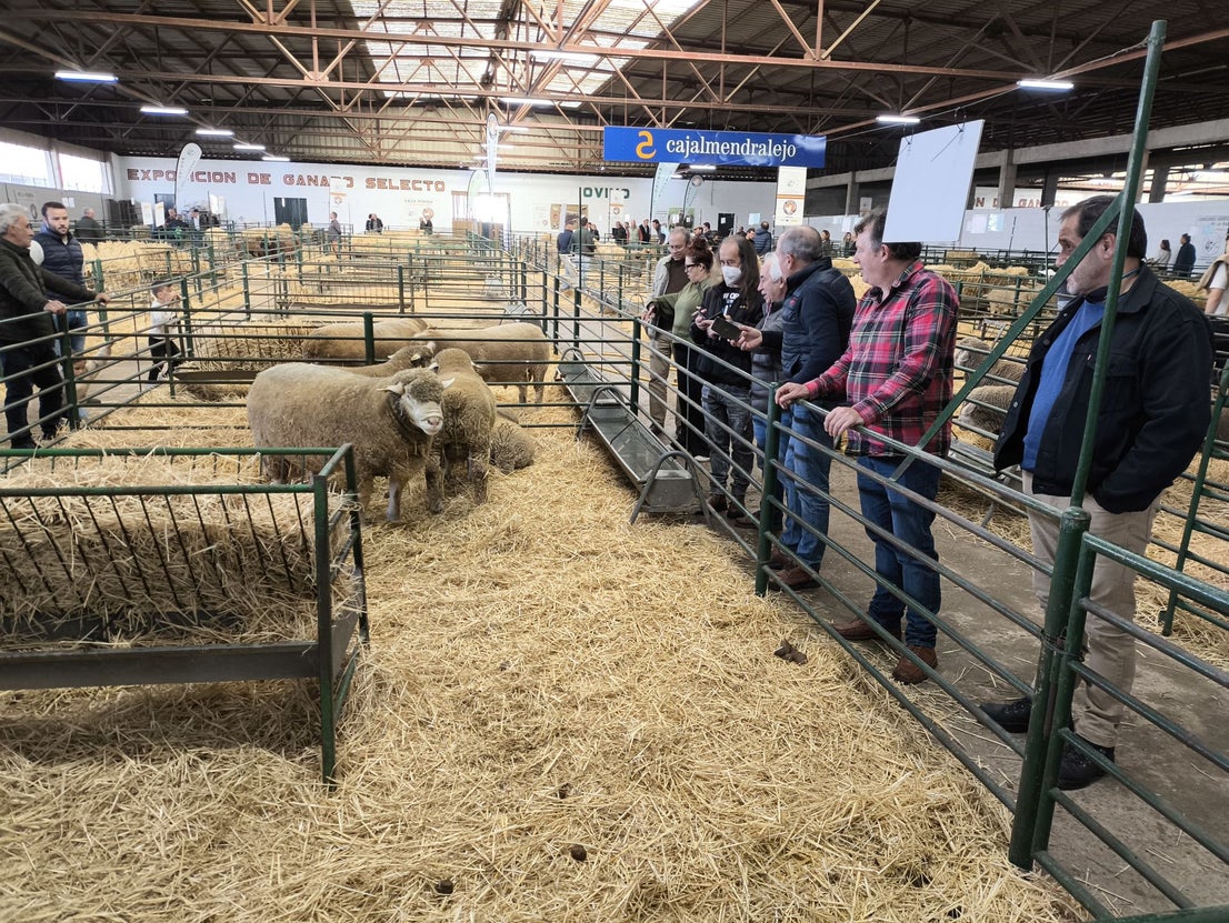 La Feria Agroganadera se celebró a pesar de la lengua azul