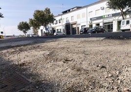 Zona de la avenida de Miajadas.