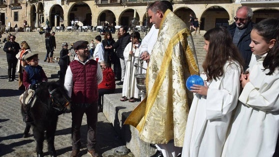 La bendición de los animales por San Antón tendrá lugar este domingo