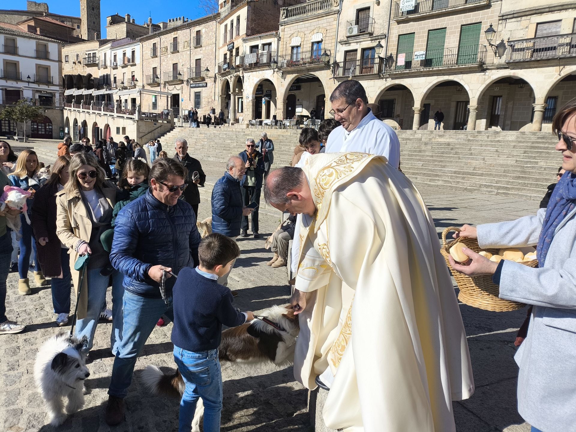 Las mascotas bendecidas por San Antón