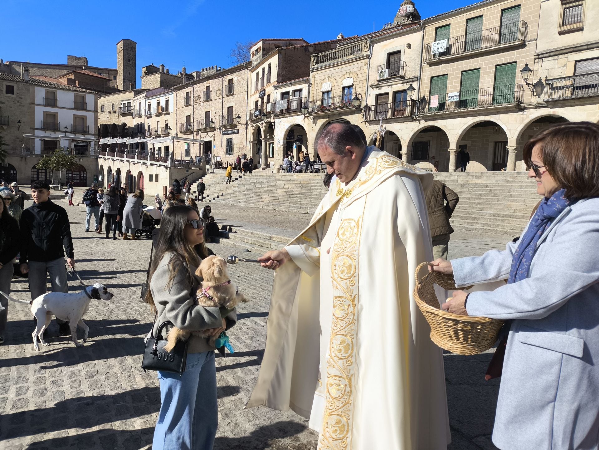 Las mascotas bendecidas por San Antón