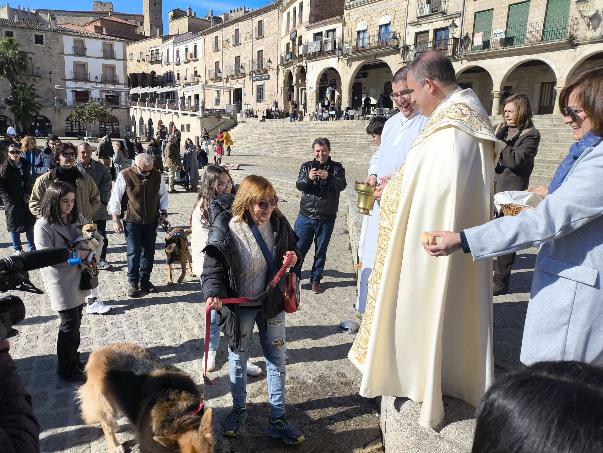 Las mascotas bendecidas por San Antón