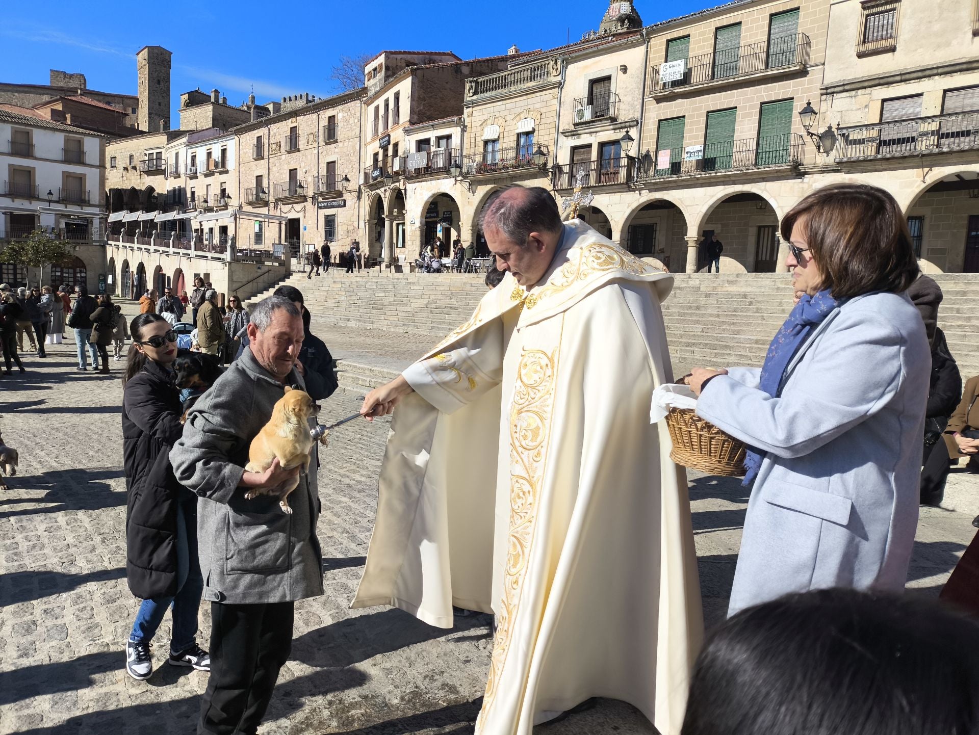 Las mascotas bendecidas por San Antón
