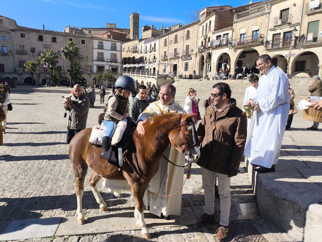 Las mascotas bendecidas por San Antón