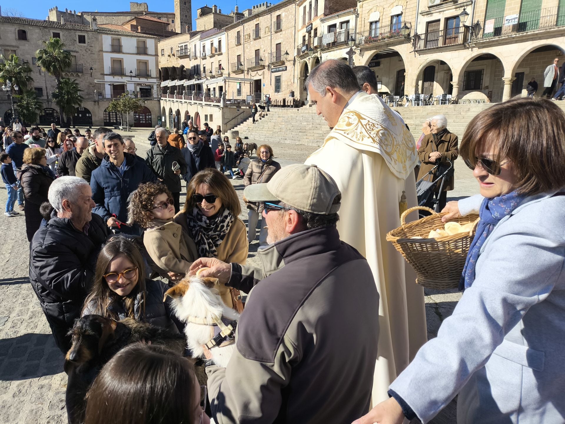 Las mascotas bendecidas por San Antón