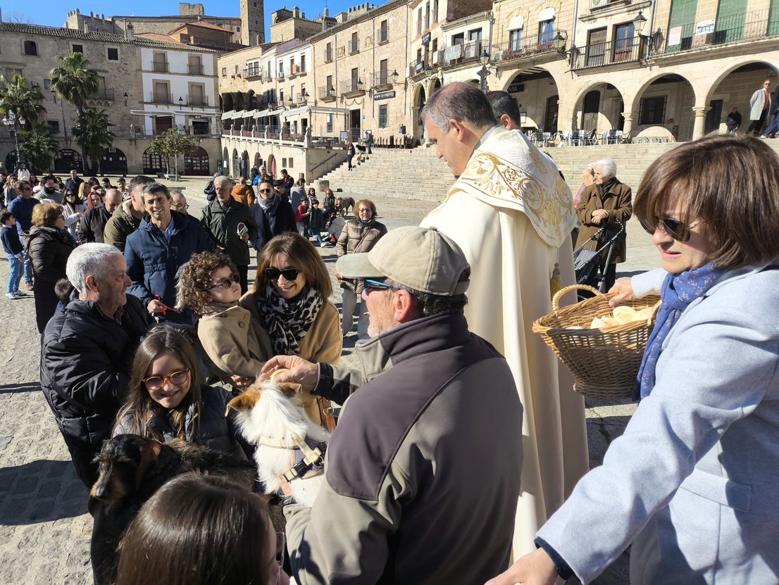 Las mascotas bendecidas por San Antón