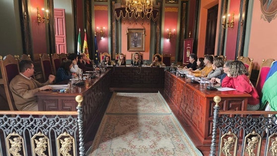 El Pleno aprueba subvenciones nominativas a diferentes colectivos
