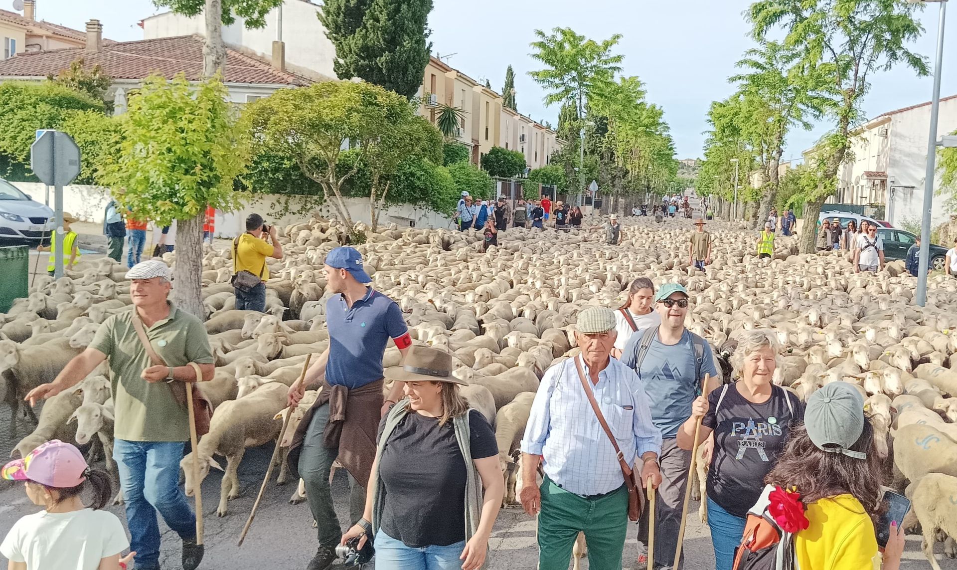 Imagen principal - Huertas de Ánimas se vuelca con la trashumancia y con su pastor José Manuel Sánchez
