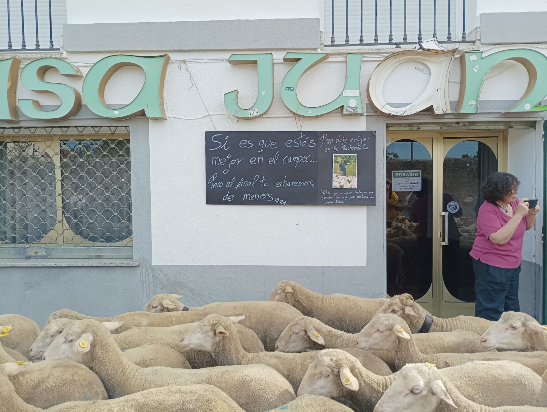 Calurosa despededida a José Manuel Sánchez, con sus 1.700 ovejas, camino de León