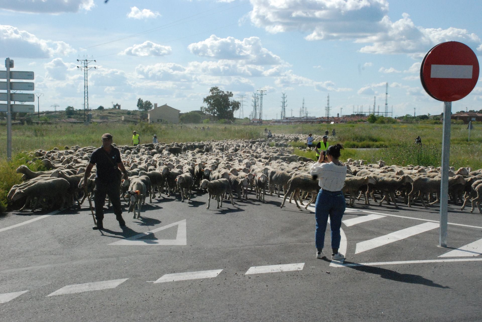 Calurosa despededida a José Manuel Sánchez, con sus 1.700 ovejas, camino de León