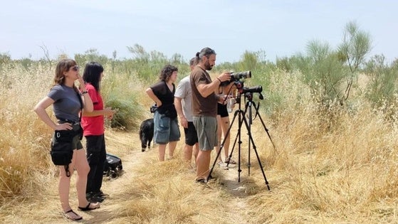 El I Festival del cernícalo primilla pone en valor el turismo de aves