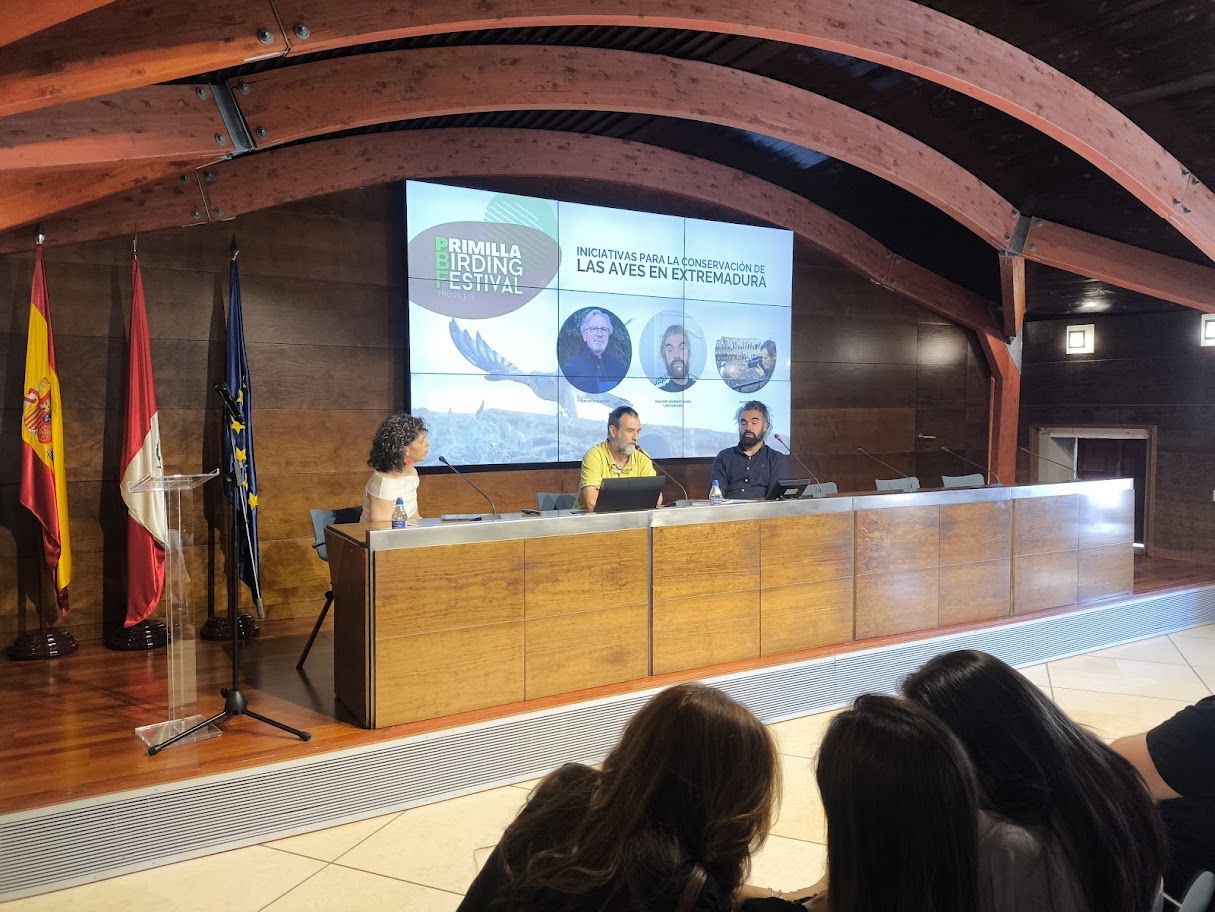 Imagen secundaria 1 - Momentos del festival