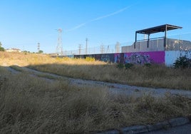 Zona junto al circuito de BTT, llena de pastos.