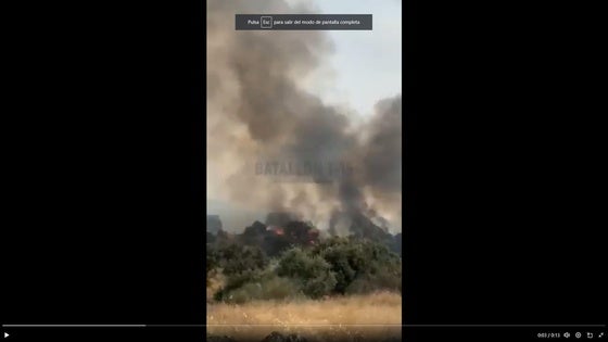 Un incendio forestal obliga a activar el nivel 1 de peligrosidad