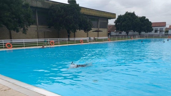Deportes inicia los cursos de natación el 14 de julio en la piscina municipal de Trujillo