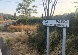 Entrada de Pago de San clemente