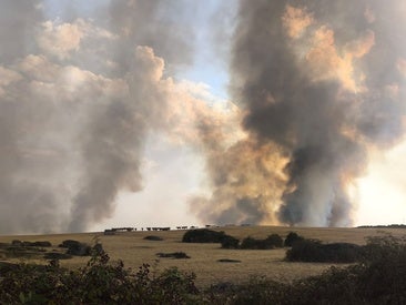 El humo del incendio producido ayer visto desde la carretera de Madroñera.