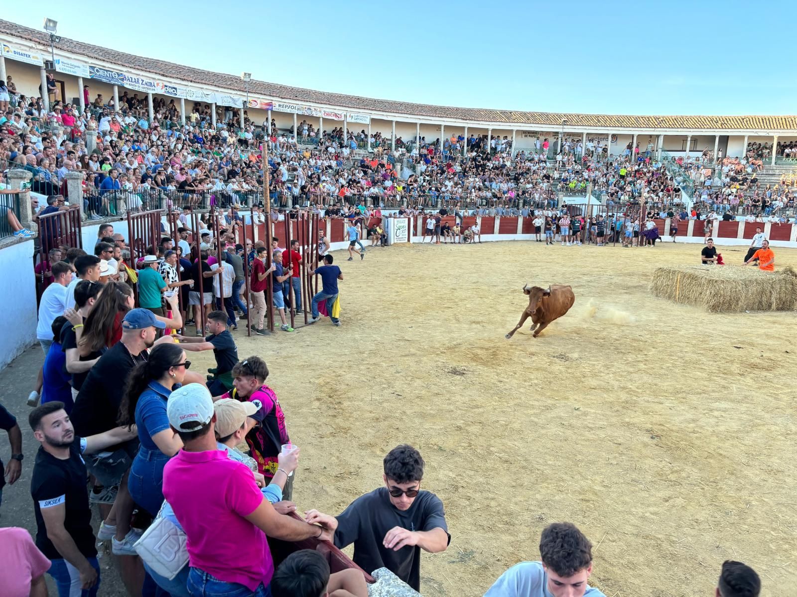 Uno de los festejos de una edición pasada.