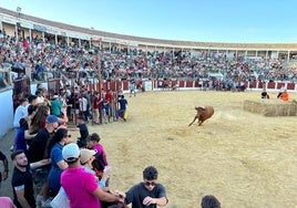 Uno de los festejos taurinos de una edición pasada