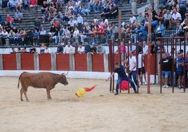 Un momento de la capea de ayer.