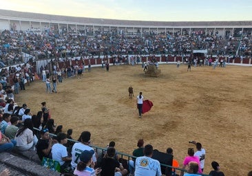 Un momento del festejo taurino