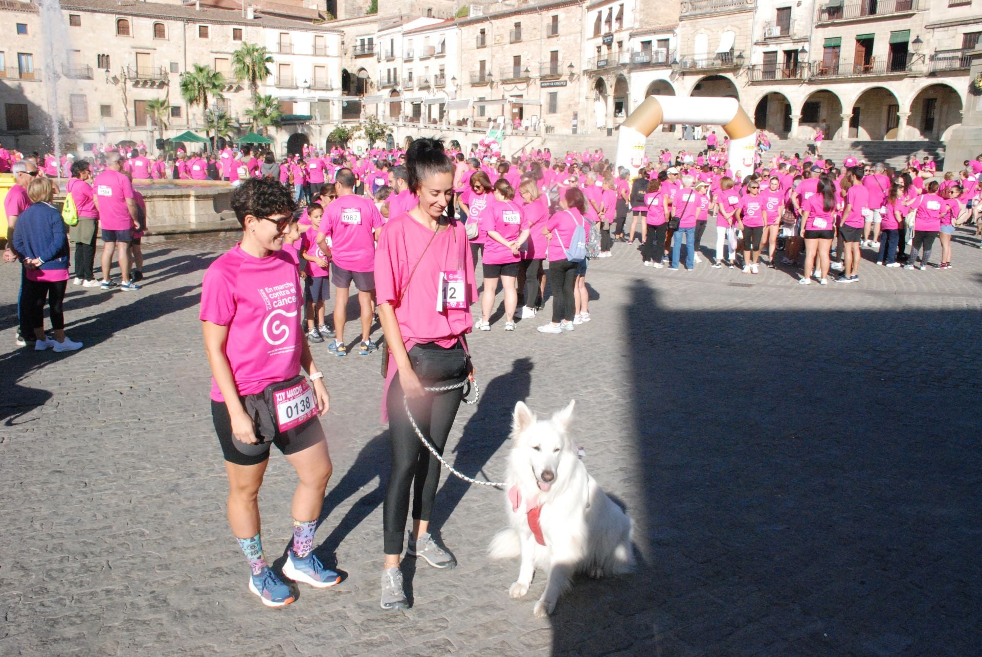 El rosa invade las calles para luchar contra el cáncer