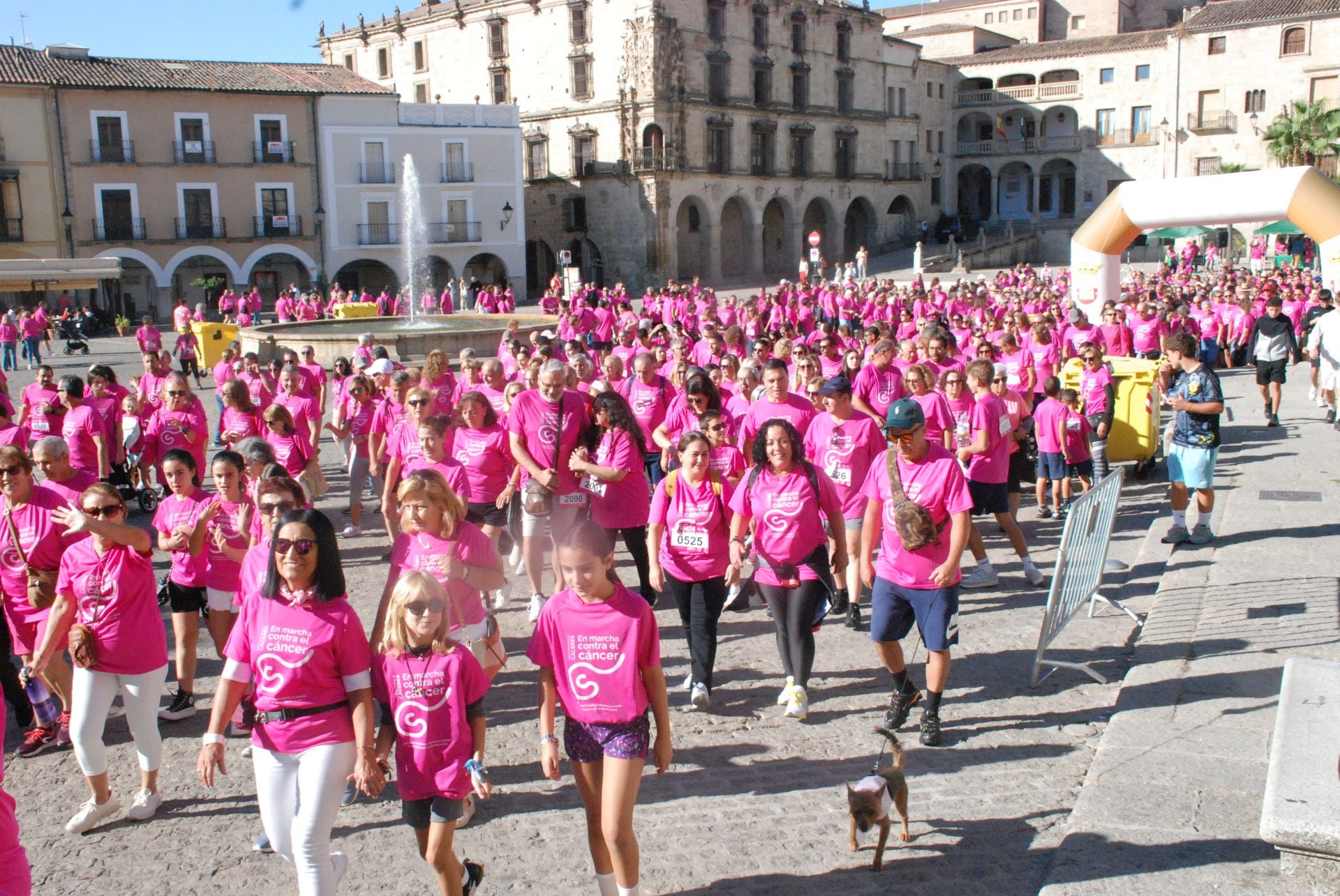 El rosa invade las calles para luchar contra el cáncer