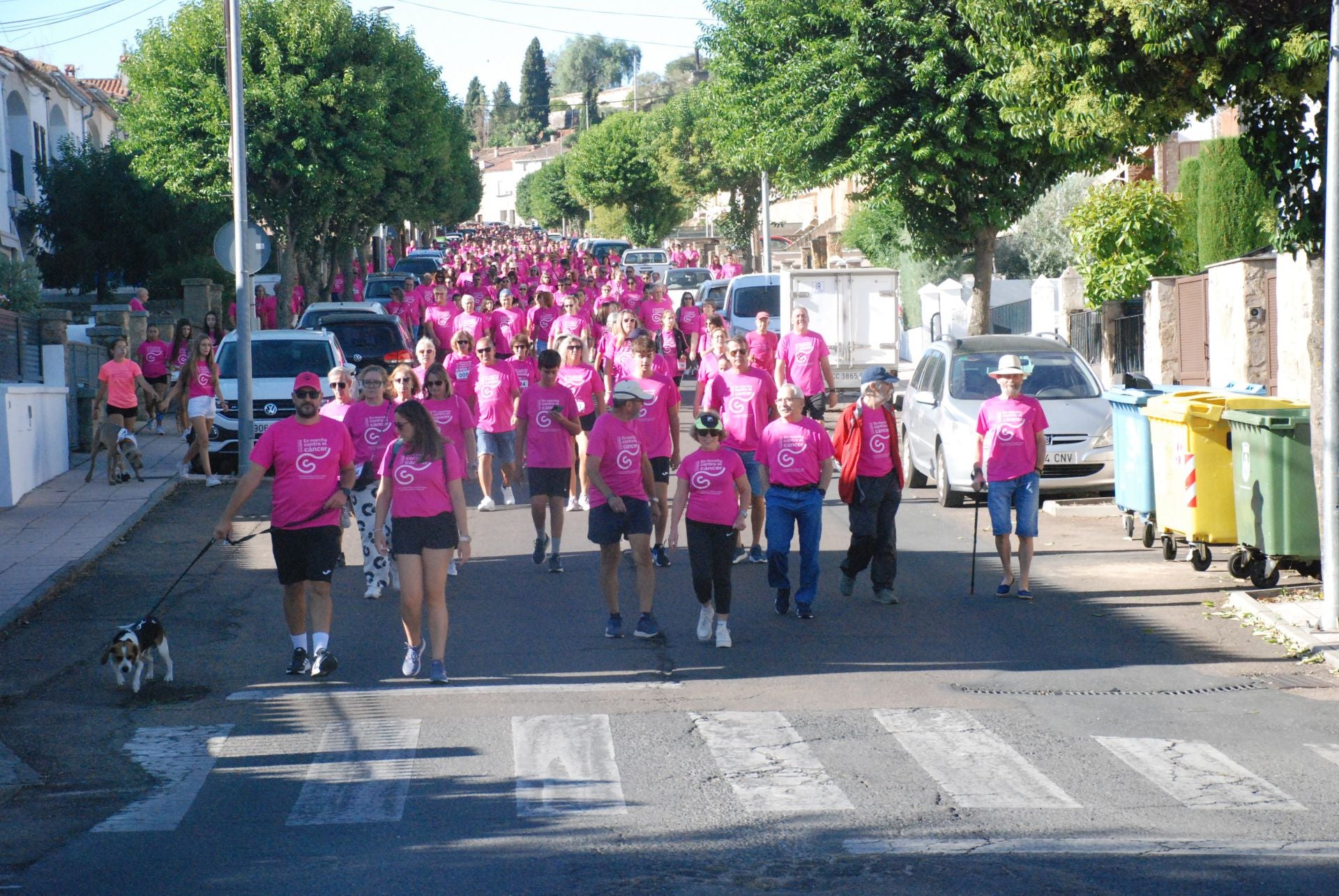 El rosa invade las calles para luchar contra el cáncer