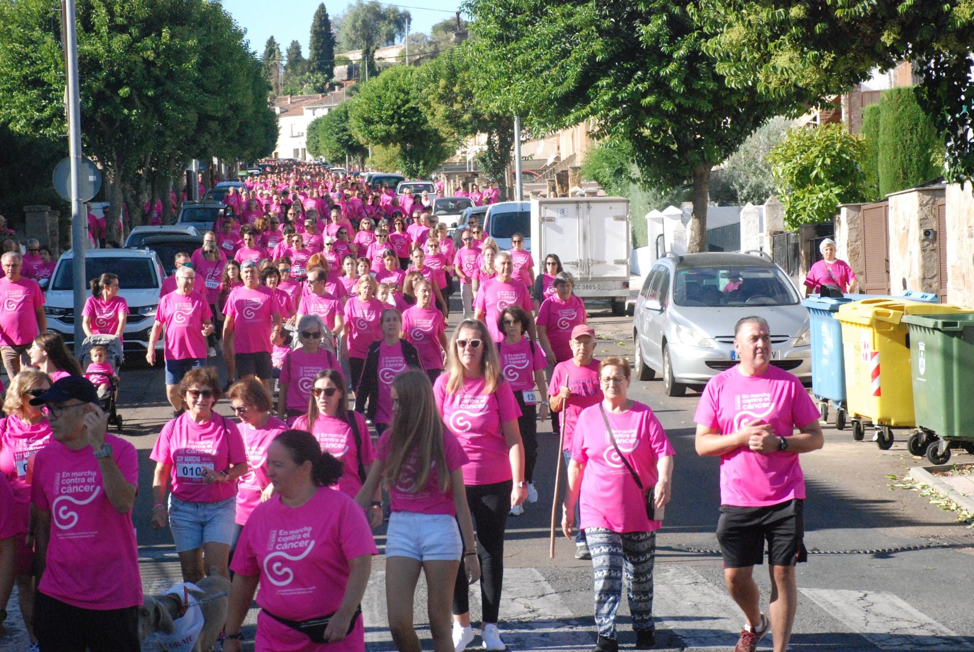 El rosa invade las calles para luchar contra el cáncer