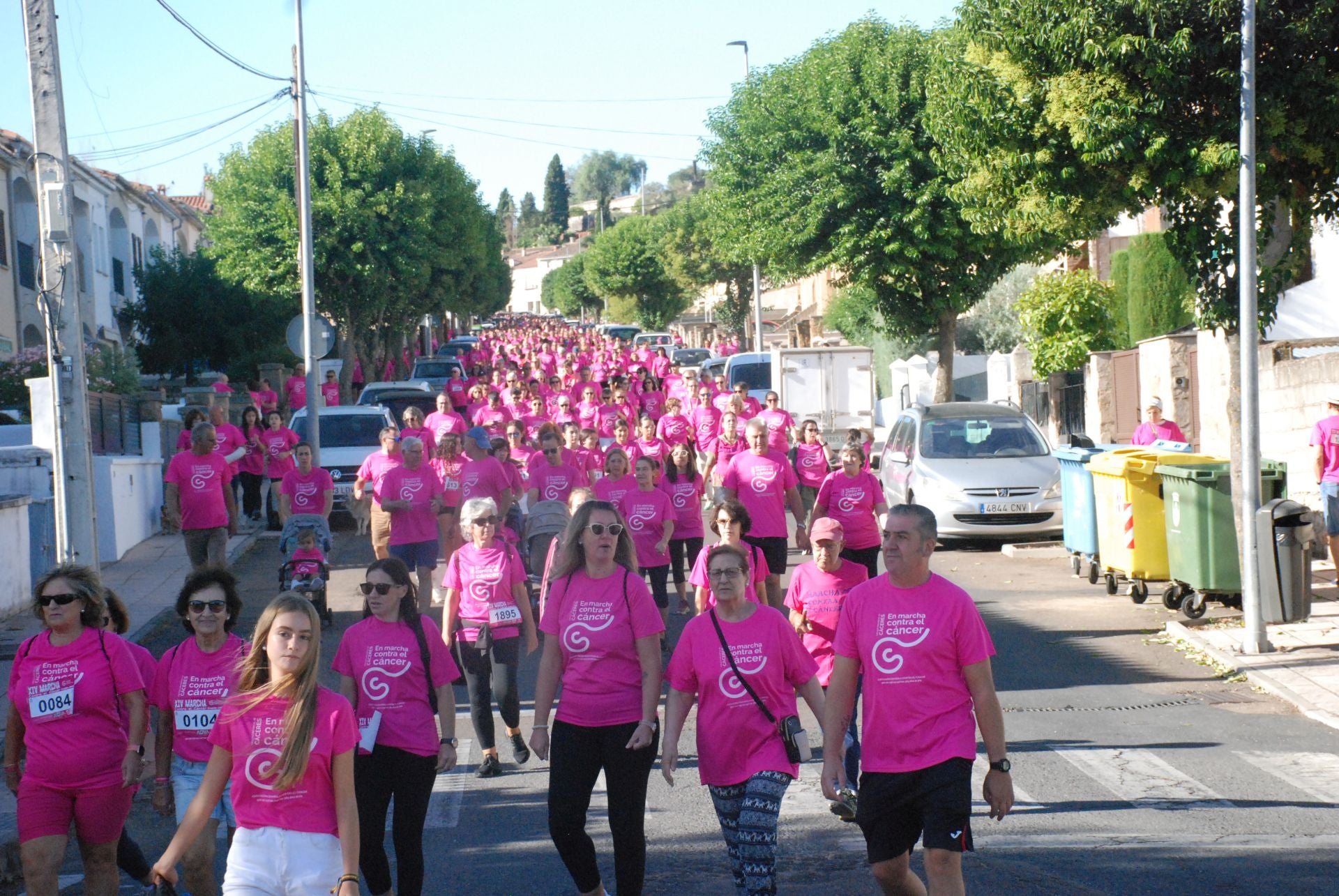 El rosa invade las calles para luchar contra el cáncer