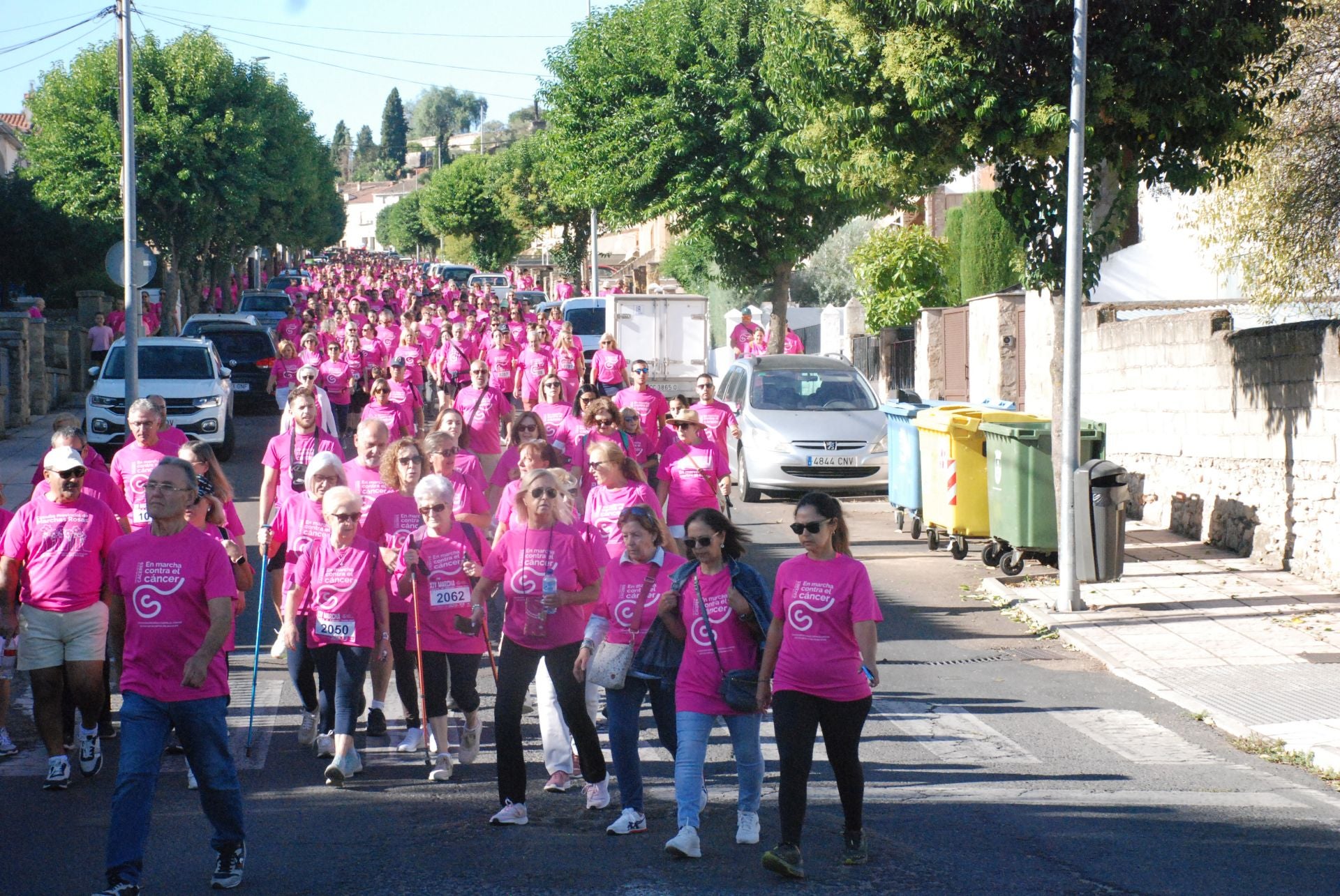 El rosa invade las calles para luchar contra el cáncer