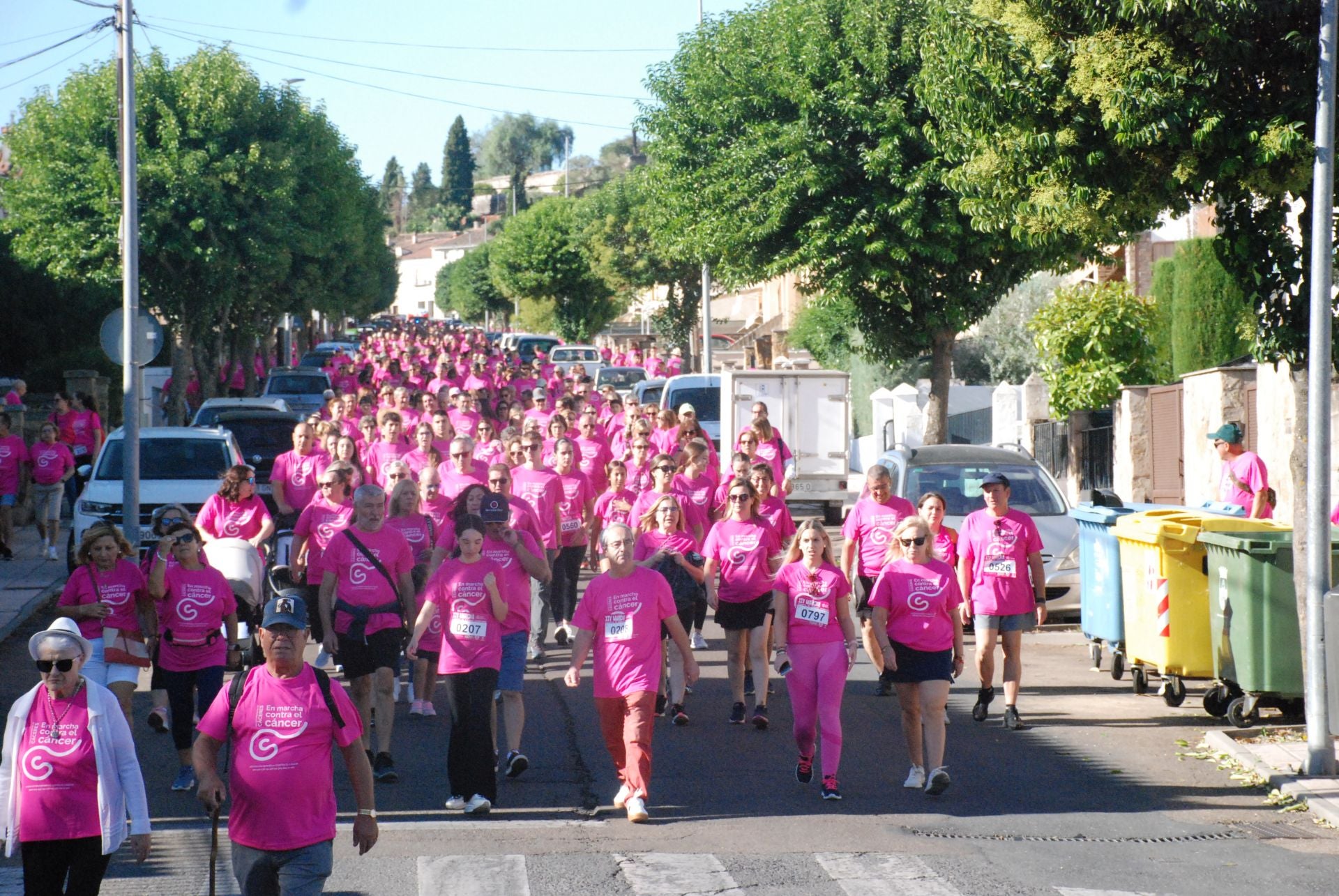 El rosa invade las calles para luchar contra el cáncer