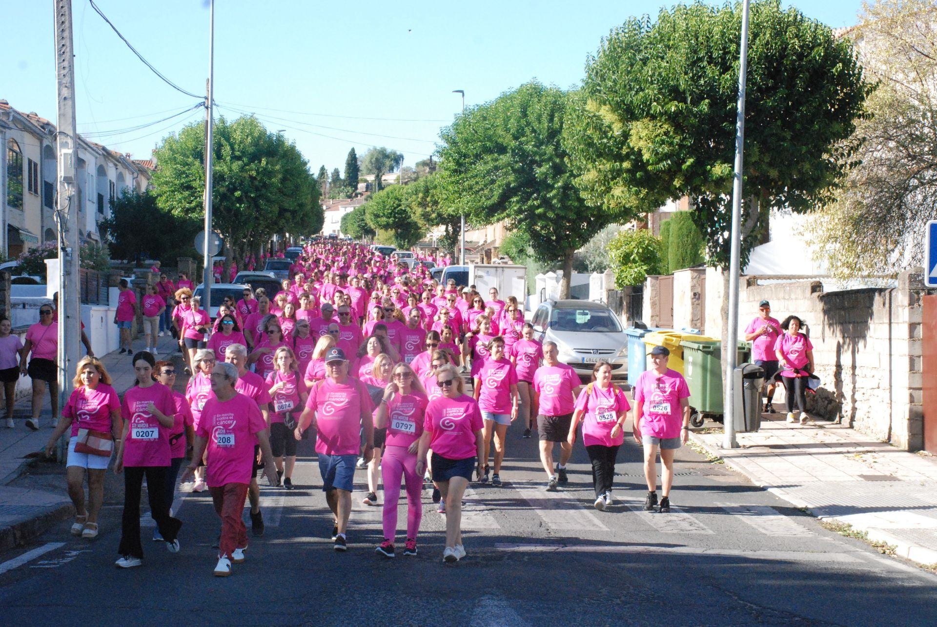 El rosa invade las calles para luchar contra el cáncer