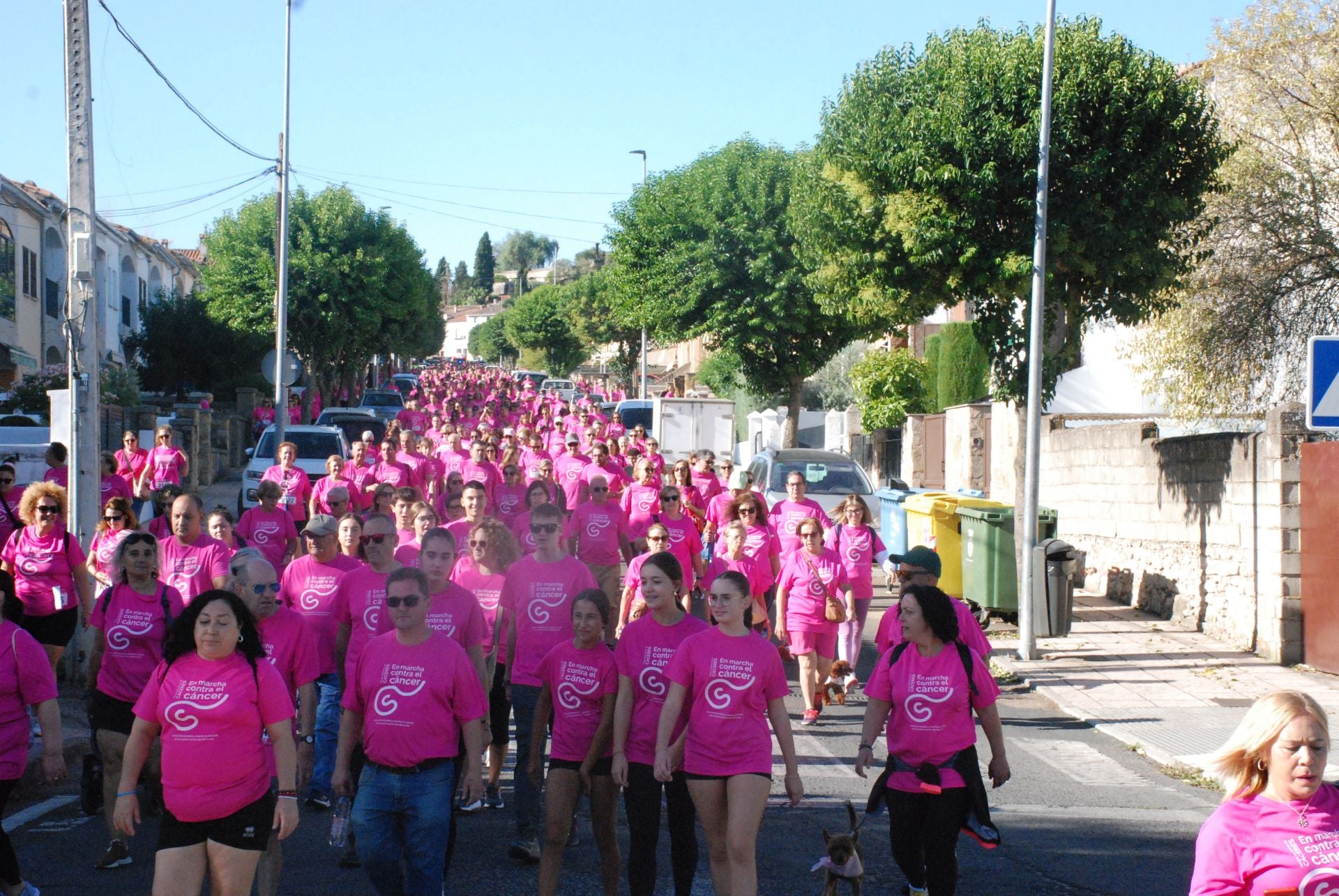 El rosa invade las calles para luchar contra el cáncer