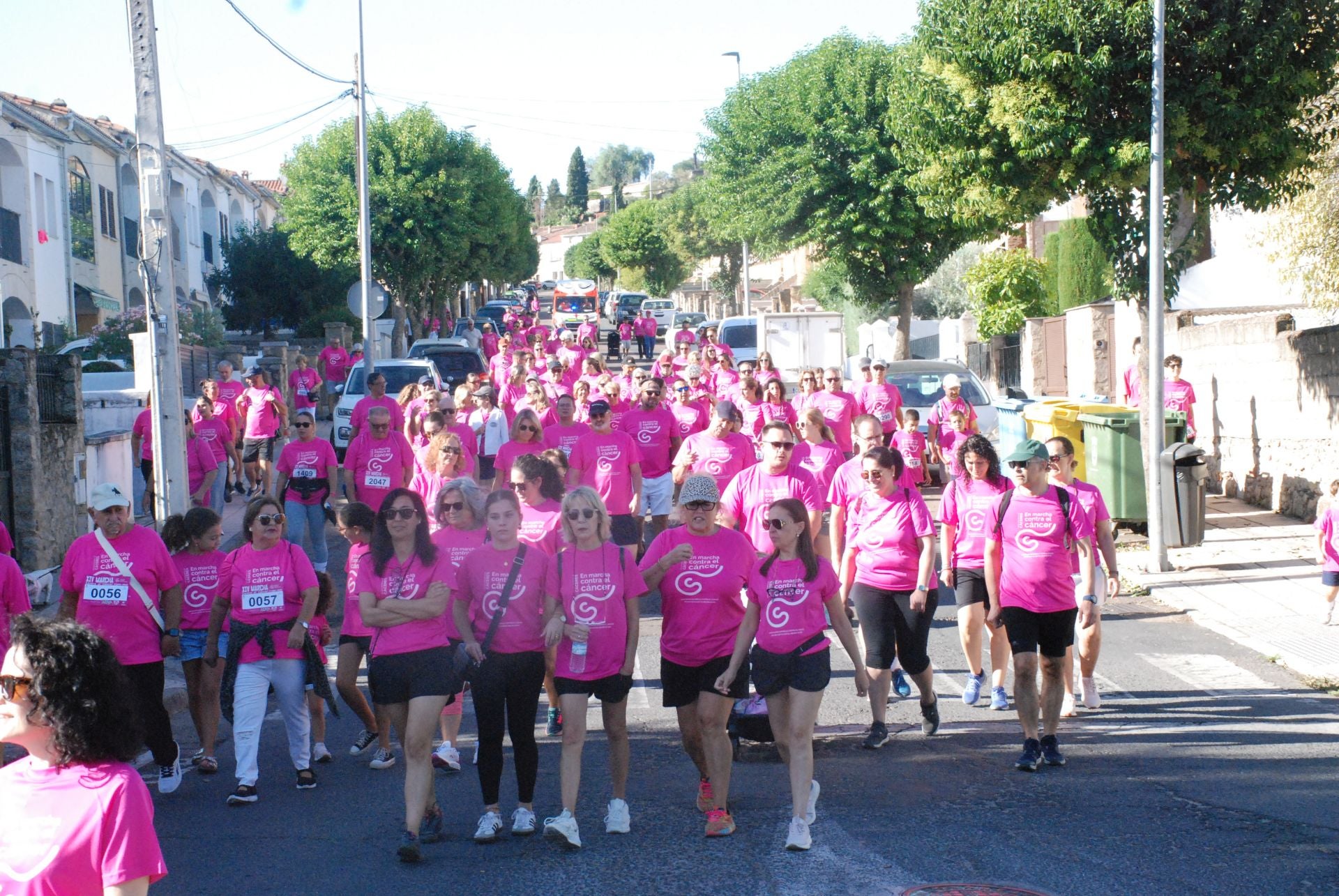 El rosa invade las calles para luchar contra el cáncer