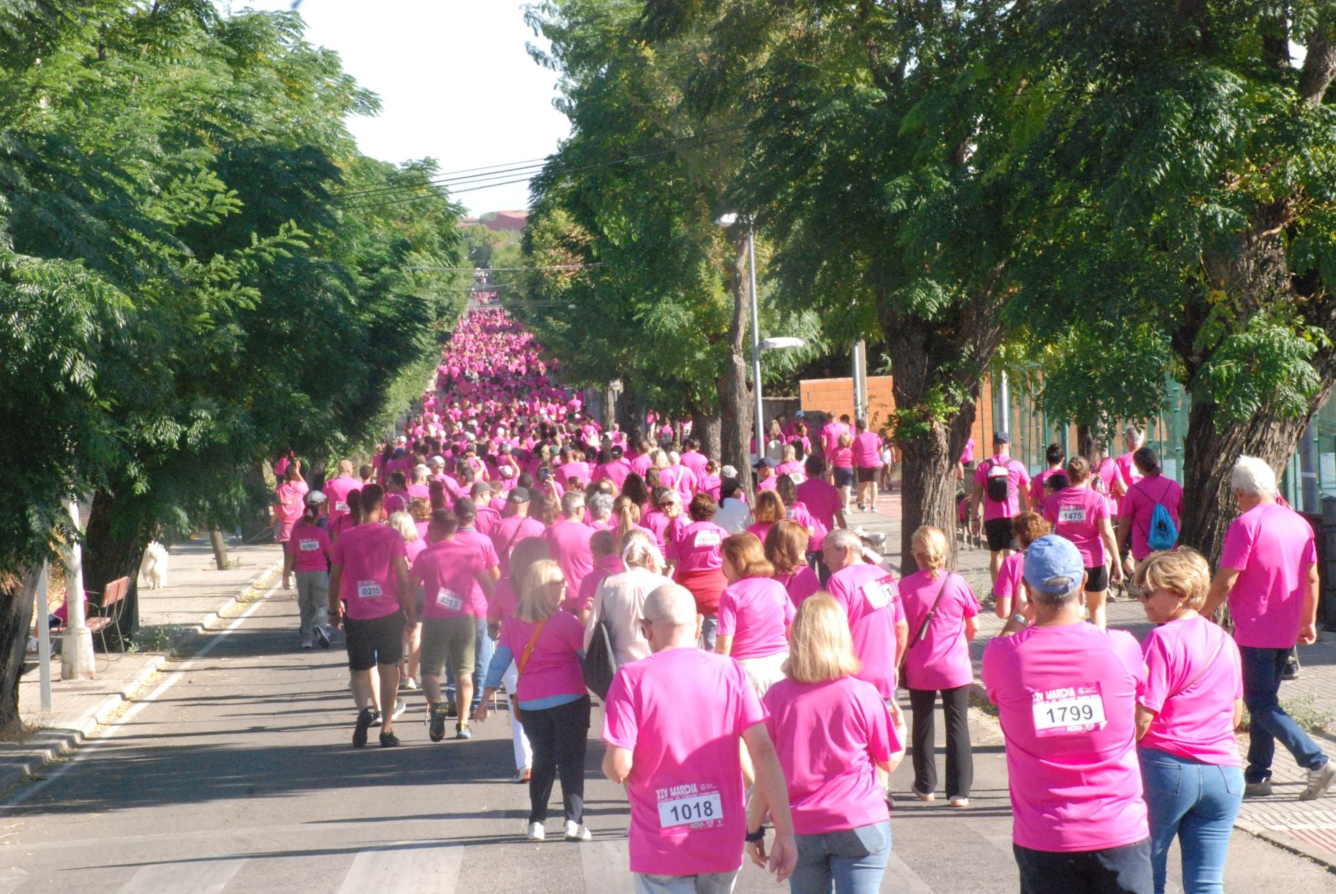 El rosa invade las calles para luchar contra el cáncer