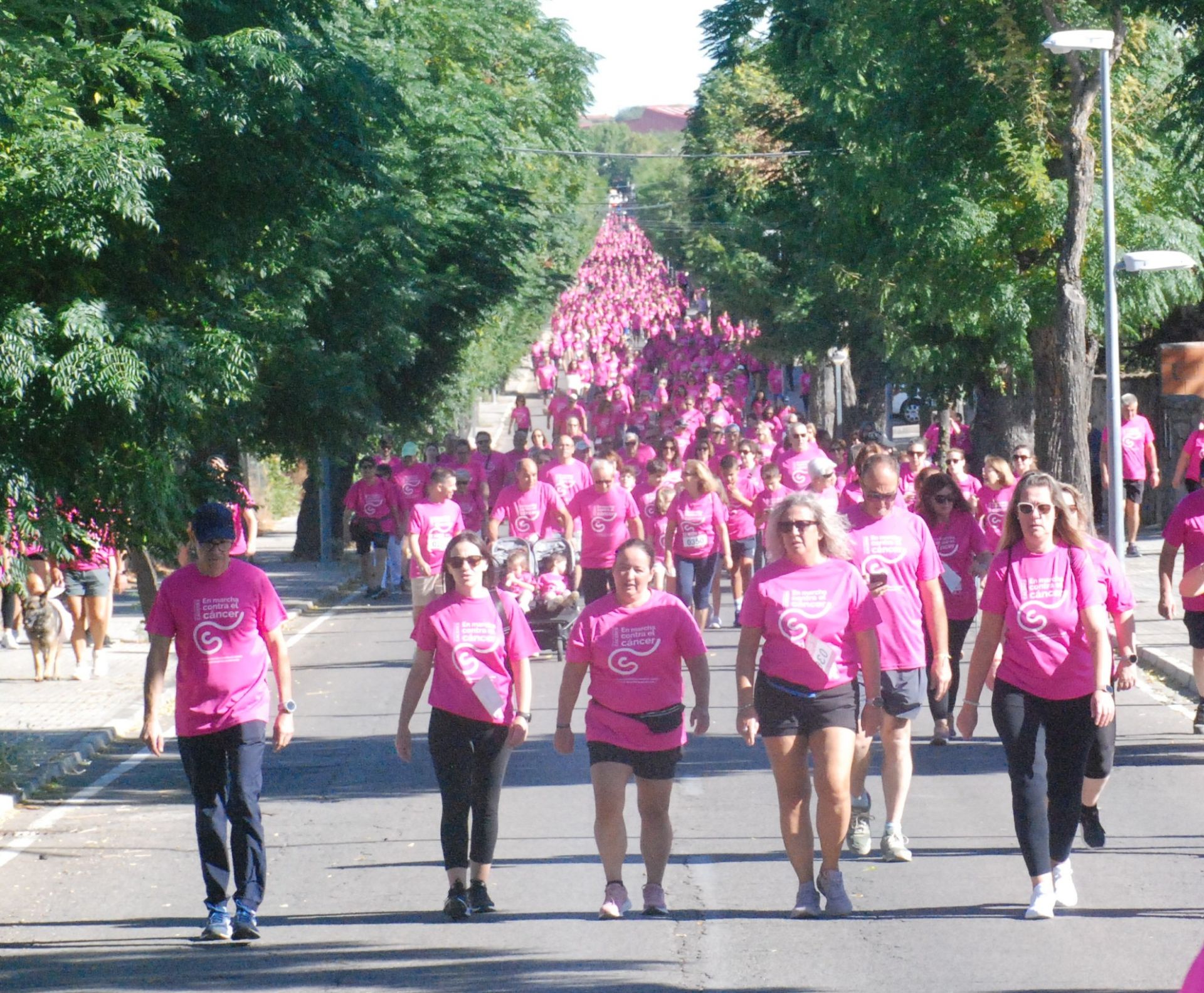 El rosa invade las calles para luchar contra el cáncer