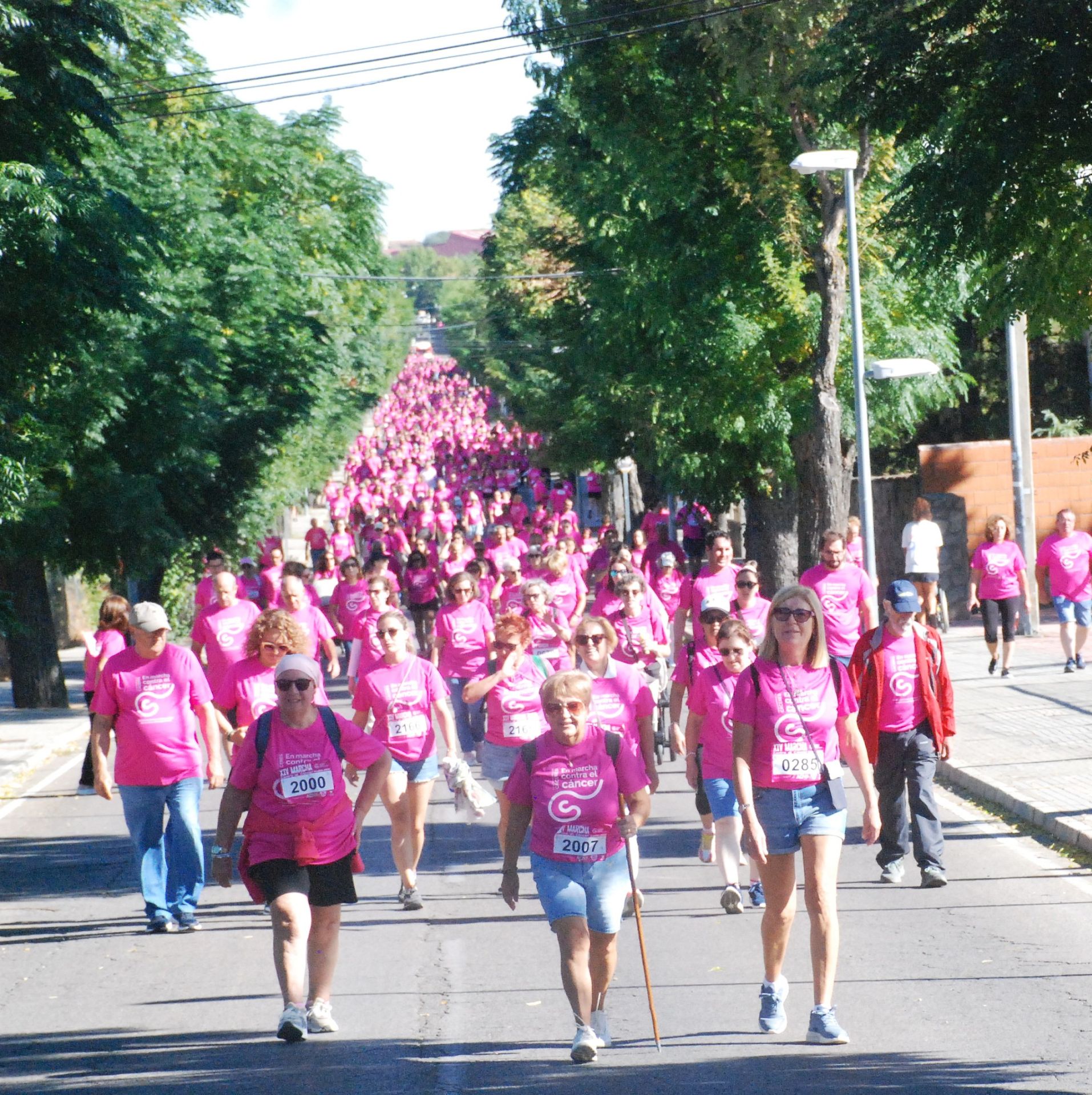 El rosa invade las calles para luchar contra el cáncer
