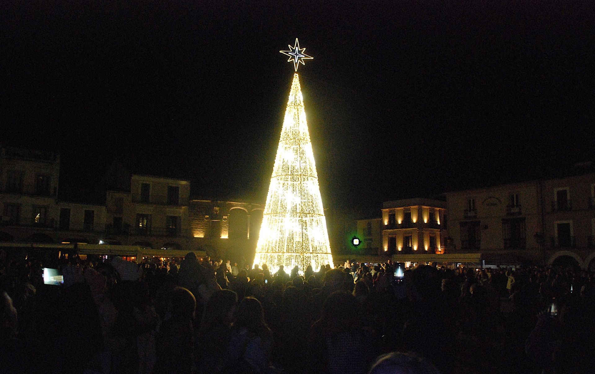 El árbol de Navidad situado en la plaza Mayor.
