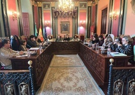 La sesión plenaria celebrada este miércoles