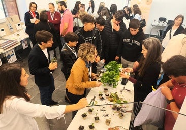 Participantes en la edición anterior.