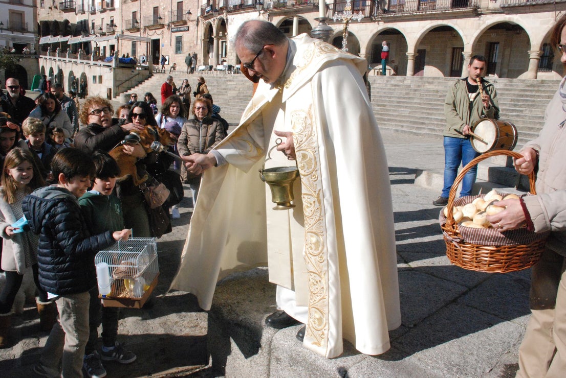 Bendición de los animales por San Antón