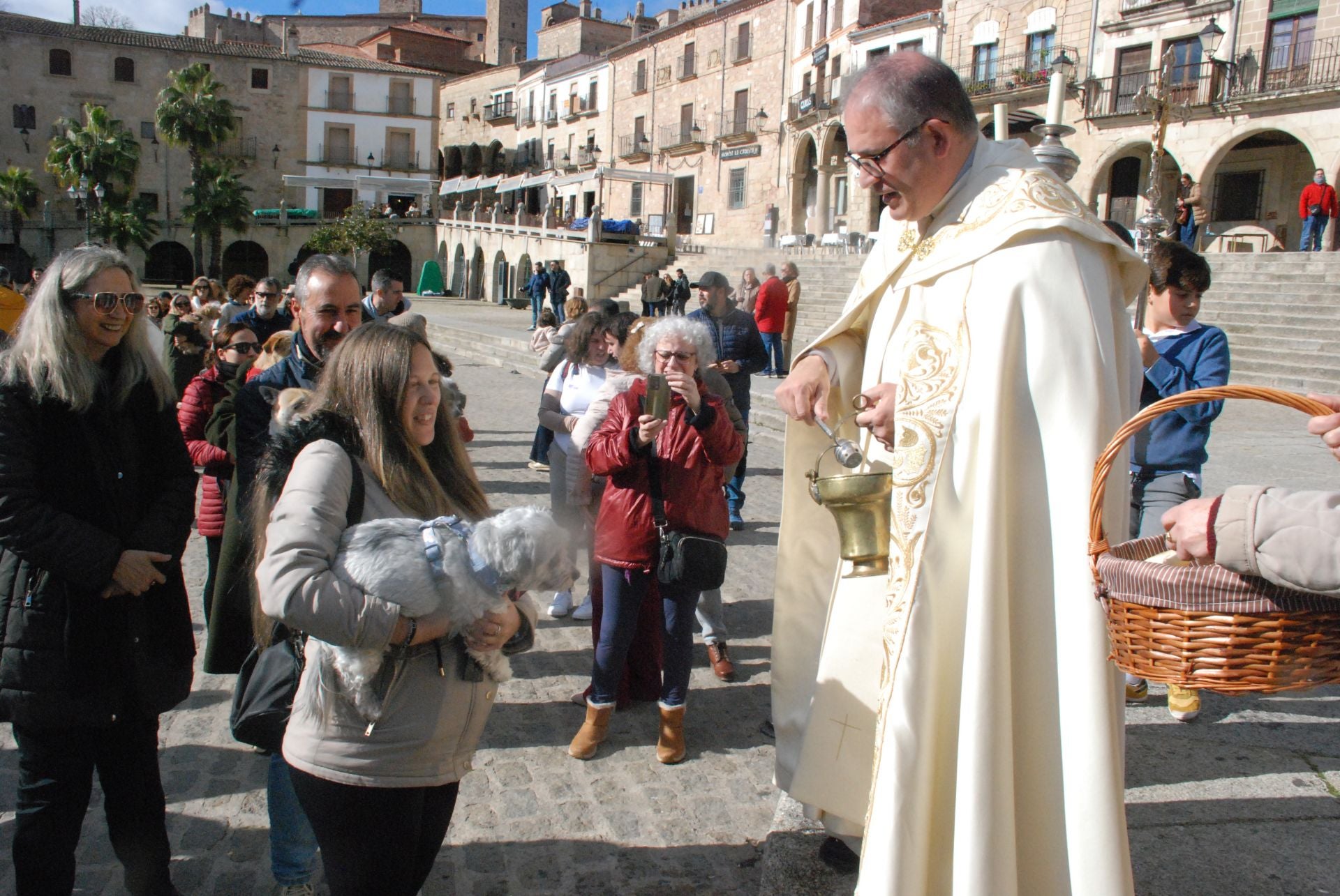 Bendición de los animales por San Antón